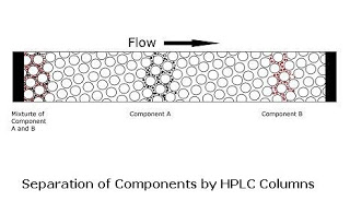 hplc column and working 1